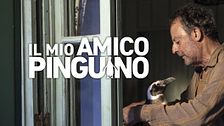 Il mio amico pinguino