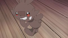 Ep. 4 - Amici di scorribande!