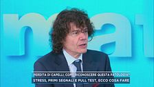 Perdita di capelli, come riconoscere questa patologia?