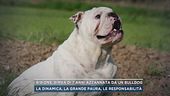 Bibione, bimba di 7 anni azzannata da un bulldog