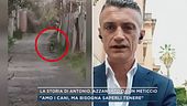 La storia di Antonio, azzannato da un meticcio
