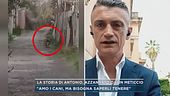 La storia di Antonio, azzannato da un meticcio