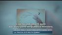 Garlasco, parla Armando Palmegiani, consulente di Sempio