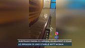 Nubifragio Marina di Carrara, allagamenti e disagi