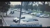 Luciana Ronchi, uccisa in strada dall'ex marito