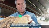 Dissesto idrogeologico, come si formano le frane?