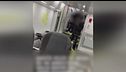 Ragazza aggredita a calci e pugni sul treno da uno sconosciuto