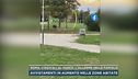 Roma, cinghiali al parco, l'allarme delle famiglie