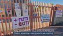 Roma, topi e degrado nella scuola di Pietralata