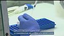 Garlasco, il dna sulle unghie di Chiara sarebbe attribuibile