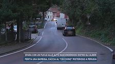 Spara con un fucile alle auto nascondendosi dietro gli alberi