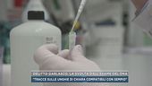 Delitto Garlasco, la svolta dall'esame del dna