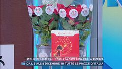 Stelle di Natale Ail, torna la campagna per la ricerca