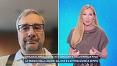Garlasco, parla il genetista consulente della famiglia Poggi