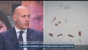 Garlasco, il genetista Pasquale Linarello sul dna attribuito a Sempio