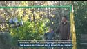 Famiglia del bosco, rigettato il ricorso per il ricongiungimento