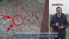 Garlasco, l'incidente probatorio e i prossimi scenari