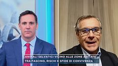 Animali selvatici vicino alle zone abitate