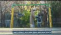 Famiglia nel bosco, parla il preside della scuola del certificato