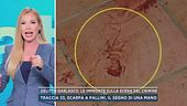 Garlasco, sulla scena del crimine un'impronta a triangolo