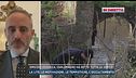 Omicidio Federica, parla l'avvocato della sorella della vittima
