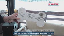 Il ristorante vip con un menù per cani da 120 euro