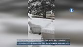 Fitta nevicata a Gosaldo, nel bellunese