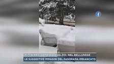 Fitta nevicata a Gosaldo, nel bellunese