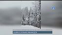 Neve in Friuli, le immagini da Sappada