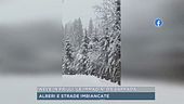 Neve in Friuli, le immagini da Sappada