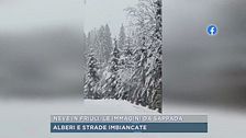 Neve in Friuli, le immagini da Sappada