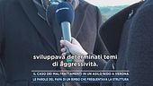 Il caso dei maltrattamenti in un asilo nido di Verona