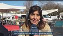 Garlasco, l'assessore di Vigevano sulla fiera d'estate