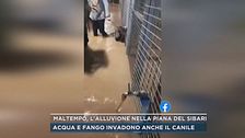 Maltempo, l'alluvione nella piana del Sibari