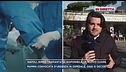 In diretta da Napoli, bambino trapiantato con cuore danneggiato