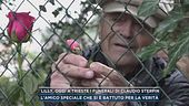 Delitto Garlasco, Andrea Sempio, sulle chiamate a casa Poggi