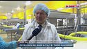 I nuovi dazi di Trump, quali effetti per la filiera del gorgonzola