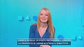 Cavalli, animali da compagnia come cani e gatti