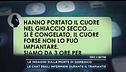 Le indagini sulla morte di Domenico