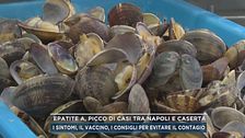 Epatite A, picco di casi tra Napoli e Caserta
