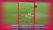 Milano, le condizioni di Parco Lambro dopo una grigliata
