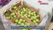 Guerra in Medioriente, l'impatto economico sulla filiera alimentare