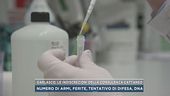 Garlasco, le indiscrezioni della consulenza Cattaneo