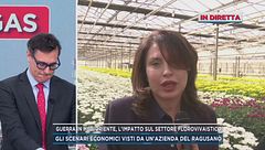 Guerra in Medioriente, l'impatto sul settore florovivaistico