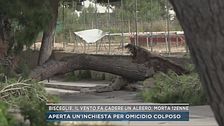 Bisceglie, il vento fa cadere un albero, morta 12enne