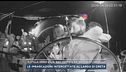 Flotilla verso Gaza, navi fermate dai motoscafi israeliani