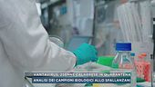 Hantavirus, 25enne calabrese in quarantena