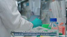 Hantavirus, 25enne calabrese in quarantena