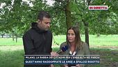 Milano, la polemica sullo sfalcio ridotto nei parchi