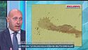 Garlasco, scontro sulla traccia 33 e l'attribuzione a Sempio
